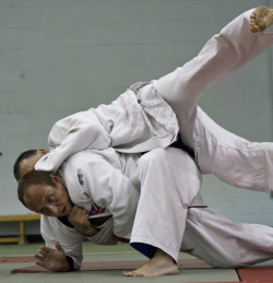 aylwin judo club stunning pictures01.jpg